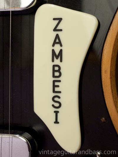 Zambesi logo