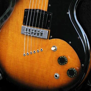 1976 Gibson L-6S Deluxe control details