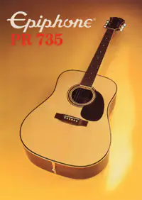 1982 Epiphone Presentation Series PR735 acoustic (Japan)