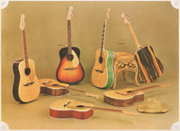 1966/67 Fender Musical Instruments catalog page 30