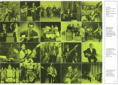 1969 Fender Lovin Care catalog page 45