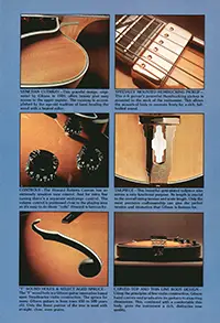 1975 Gibson Custom Order & Electric Acoustic series guitar catalog page 3
