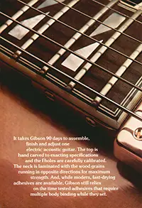 1975 Gibson Custom Order & Electric Acoustic series guitar catalog page 8