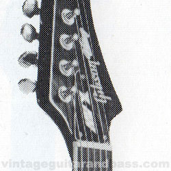 Close up of the Victory MVX headstock markings
