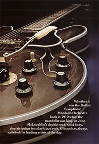 1975 Gibson thinline guitar catalog page 5