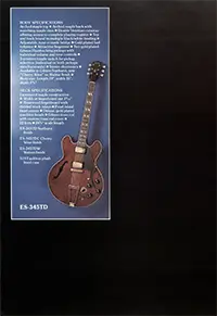 1975 Gibson thinline guitar catalog page 6